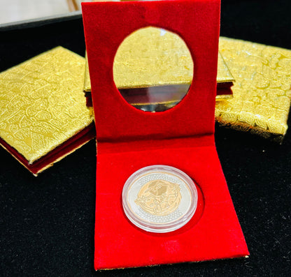 10 gram 999 Silver Baby Rhodium Coin